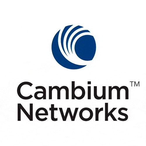 Cambium